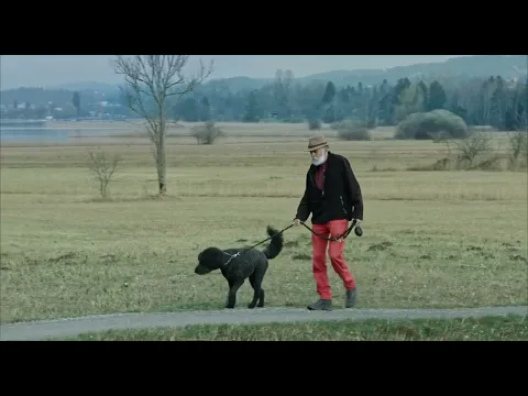 Trailer RÖBI GEHT DE de