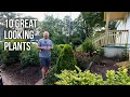 10 Plants That Are Thriving After a Tough Summer Season