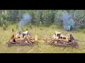 Two D11 s Have a Tug of War