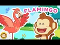 Download Lagu Mengenal Hewan | Burung Flamingo 🦩 Lagu Anak Indonesia BaLiTa #flamingo #balita #laguanak
