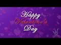 Stop Scrolling This Is The Best After Effects GIF