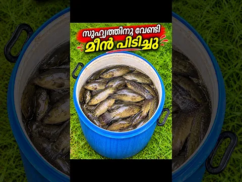 സുഹൃത്തിനു വേണ്ടി അതും ചെയ്തു ❤️ Fish gifted to best friend #fish #fishing #shorts