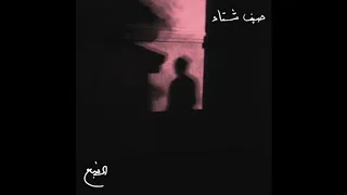 Eldab3 Seif Sheta Official Audio الضبع صيف شتا 