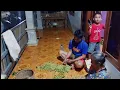 Download Lagu Malam hari yg sunyi di kampung musim panen cengkeh biar sedikit\