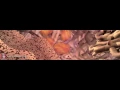 Cell Signals Full length