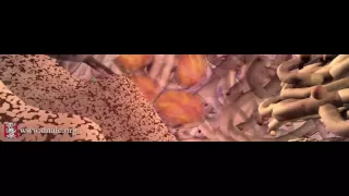 Cell Signals (Full length)