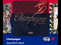 Anyme023, Meryl - Champagne ( Version Skyrock )