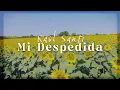 Mi Despedida - Raúl Santi (Video Letra Oficial) - Balada Romántica