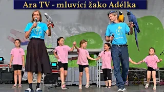 Vystoupení Ara TV s mluvícím žakem Adélkou a 4 ary z Království papoušků - Bezva Fest Litoměřice