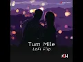 Tum mile lofi flip songs ❤️❤️❤️ please subscribe my channel 🙏🙏🙏🙏