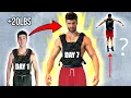I Wore A Weight Vest For An Entire Week Straight