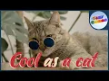 Simile Song Tiny Tunes