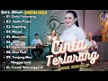 Download Lagu CINTA TERLARANG - SHEPIN MISA FULL ALBUM JOGET ASOY