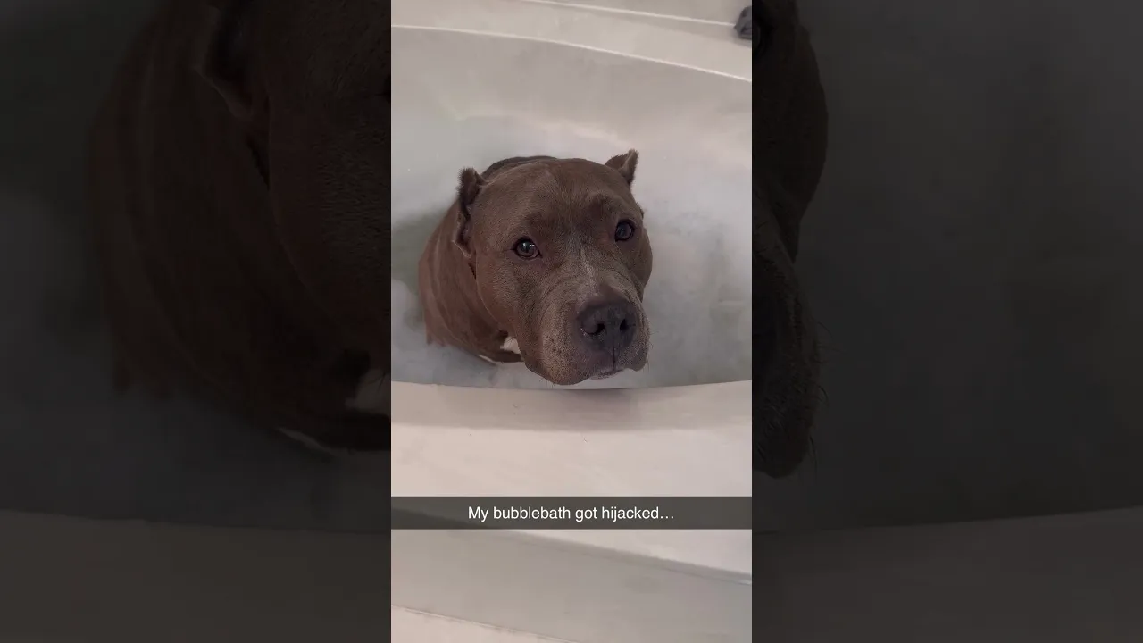 He’s just relaxing