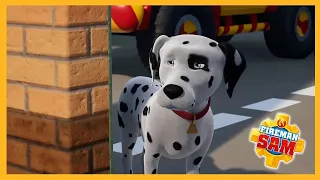 🐾 Clever Pets, Brave Rescues! | 🔥 Fireman Sam Official Compilation