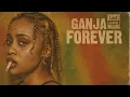 Download Lagu Roots Reggae (1977) [Lost Album] Marachi Dube - Ganja Forever