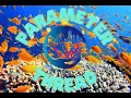 Boston Reefers Society Parameter Thread