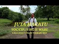 Download Lagu LAGU JGET PALUE TRBARU 2021(JUTA HA CATU)VOC/CIP:VIRGIS WARE,#lagudaerahpalue #virgisware