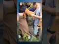 Download Lagu lah sapa yg rekam🗿|| Memes😂 #meme #trending #viral #tobrut #shorts