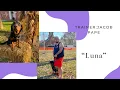 Taming the Energetic Golden Retriever-Rottweiler Mix l Amazing Obedience Transformation