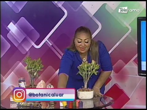 Arcángeles: Como pueden ayudar a levantar su negocio