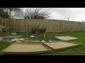 Omlet Cat Run Erection Time Lapse