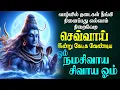 Download Lagu திங்கட்கிழமை கேட்க வேண்டிய சிவன் பாடல் எல்லாம் நீயே சிவன்பெருமானே சிவன் பாடல் | Sivan Song in Tamil
