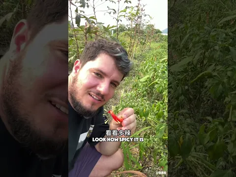 Ährenlesen in China: Reis ernten, Obst pflücken, Herbst fühlen. 🌾🍎