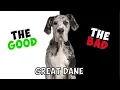 GREAT DANE - PROS CONS