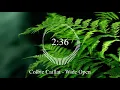 Colbie Caillat  - Wide Open