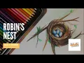 Daily Doodle | Robin’s Nest Colored Pencil Drawing Tutorial