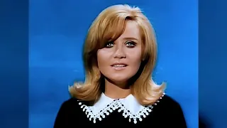 Lulu - To Sir With Love (VJ. Dado Keller Version) 1967/2023