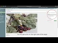 Adding or Changing Node Thumbnail