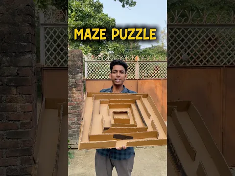 Can Ants Solve This Cardboard MazePuzzle? #shorts #experiment