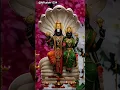Download Lagu Om Namo Venkateshaya | Om Namo Srinivasa | #srivenkateshwarasuprabhatham #edukondalavada