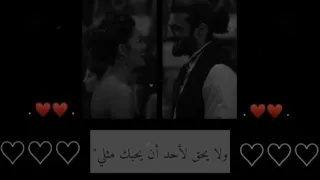لن يستطيع أحد أن يحبك مثلي        دندنها