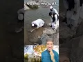 Download Lagu #namaz #love #dua #beautiful #omg #viralvideo #islamicvideo #motivation #shorts #trending