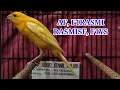 Download Lagu SPESIAL PAKET SUPER PROMO BAHAN AF, F1RASMI, F1YS, F2RASMI DAN BETINA SIAPAN TERNAK 