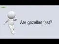 Are Gazelles Fast