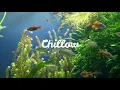 Download Lagu Chill beats - Chillow [ Lofi | Instrumental 🎵]