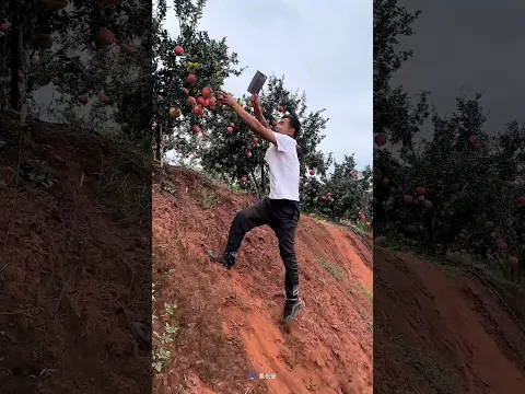الولد ده لقه رمانه كبيرة اوي 🤯 #shorts