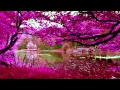 Download Lagu acalme sua alma com essa linda música.