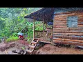 Download Lagu Langit Gelap Turun Hujan Sangat Deras - Panen Sayur Kangkung Di Tengah Hujan Kehidupan asli dihutan 