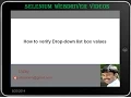Selenium WebDriver s How to verify drop down listbox values