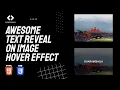 Awesome Text Reveal on Image Hover Effect HTML CSS