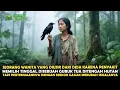 Download Lagu VIRAL !! DIASINGKAN OLEH WARGA DESA, HIDUP WANITA INI BERUBAH SETELAH BERTEMU DENGAN SEEKOR GAGAK