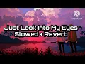 Download Lagu Just Look Into My Eyes Song Slowed  + Reverb | Lofi Song