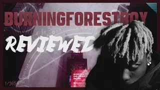 burningforestboy 19 2 million undergound reviews 