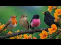 Lagu Calm Sleep Soundscape with Natural Bird Sounds, Flowing Water \u0026 Soft Instrumental Music