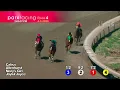 Race 26